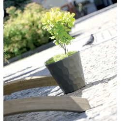 Round flower pot - Rocka - 35 cm - Umbra