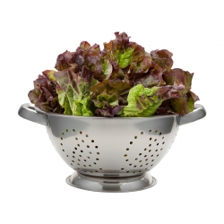 Red butterhead salad "Rosemarry" - 900 biji - Lactuca sativa L. var. capitata  - benih
