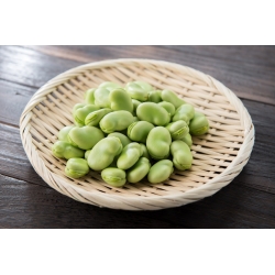 BIO - Garden broad bean "Superaguadulce" - certified organic seeds
