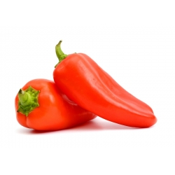 Pepper "Condo di Toro Rosso" - odroda - 42 semien - Capsicum L. - semená