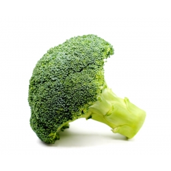 Brokoli "Sebastian" - pelbagai awal untuk musim bunga dan musim luruh yang semakin meningkat - 300 biji - Brassica oleracea L. var. italica Plenck - benih