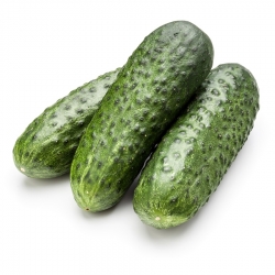 Cucumber "Izyd F1" - field, pickling, medium early variety - 250 seeds