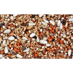 Микс от бобови и фуражни култури за оцветяване - 1 кг -  - семена