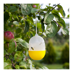 Standing or hanging wasp trap