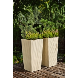 "Finezja" square tall planter with an insert - 40 cm - cappuccino-beige rattan
