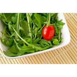Home Garden - Rocket, Arugula - for indoor and balcony cultivation - 200 seeds