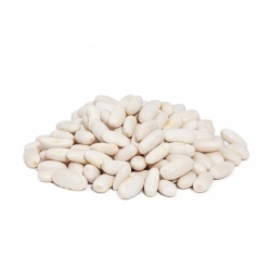 Bean "Aura" - trpasličí odroda pre suché semená - 100 semien - Phaseolus cocineus