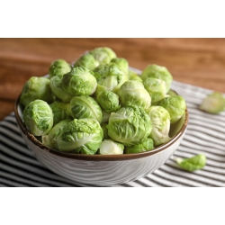 Brussels sprout "Long Island" - dozends of heads from one plant - 320 seeds