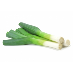 Leek "Tango" - thick pseudostems, resistant to frost up to -10°C - 320 seeds