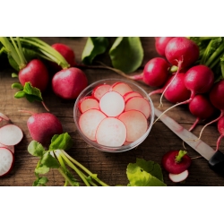 Radish "Rudi" - vividly red variety for all-year cultivation - 425 seeds