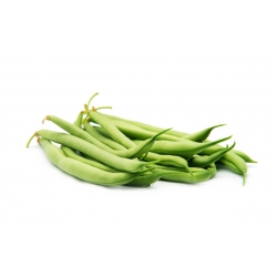 Green Dwarf Bean "Delfina" - for freezing and preserving