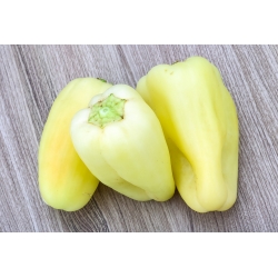Pimento - Mira - 80 sementes - Capsicum L.