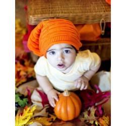 Happy Garden - Fancy Wonder Pumpkin - Benih yang dapat tumbuh anak-anak! - 18 biji - Cucurbita pepo