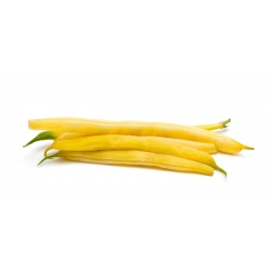 Daržinė pupelė - Golden Teepee - 120 sėklos - Phaseolus vulgaris L.