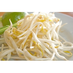 Kiemen zaden - Aziatische keuken - 3-delige set + sprout met één blad - 
