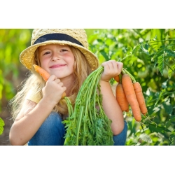 Happy Garden - "Ako chutné ako mrkva" - Semená, ktoré deti môžu rásť! - 765 semien - Daucus carota