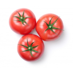 Tomate 'Polorosa F1' - für den Anbau unter Schutzabdeckungen