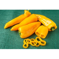 Biber "Corno di Toro Giallo" - sarı, tatlı - Capsicum L. - tohumlar