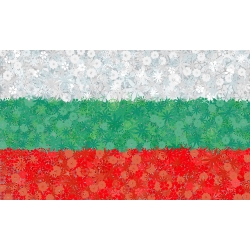 Bulgarian Flag - seeds of 3 flowering plants' varieties