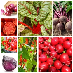 Red vegetables - seeds of 8 species