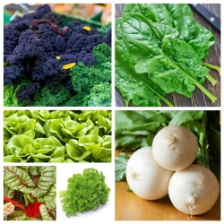 Vegetable Island 2 - seeds of 6 vegetable species responsible for improving overall body condition
