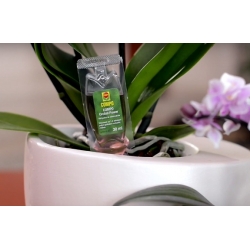 Orhidee toiteaine - Compo® - 50 x 30 ml - 