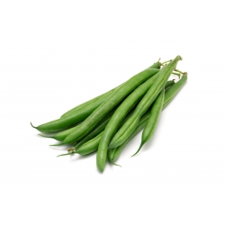 Zelené fazule "Syrenka" - Phaseolus vulgaris L. - semená