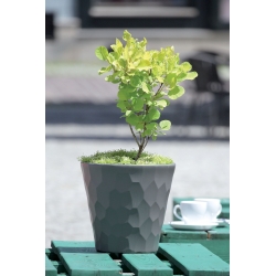 Round flower pot - Rocka - 17 cm - Lime