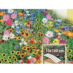 Rainbow Border - annual flowers' variety mix for boxes and edgings, 10 x100 cm mat