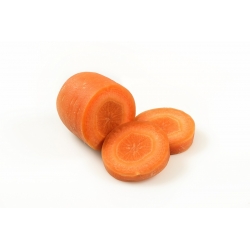 Morcov "Nantejska Polana" - varietate medie timpurie - 5100 de semințe - Daucus carota