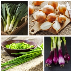 Løkgrønnsaker - sett 1 - frø av 4 vegetabilske planter