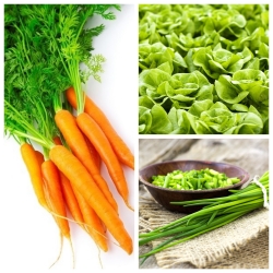 Зеленчуци за взаимно свързване - Комплект №. 6 - семена от 3 вида - 