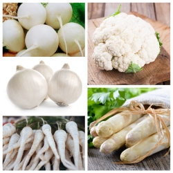 सफेद सब्जियां - 5 प्रजातियों के बीज - 