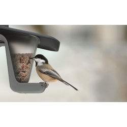 Meja burung / nampan makan Birdyfeed Double - untuk menggantung di garis atau cabang - antrasit abu-abu - 