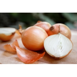 Valgomasis svogūnas - BIO - Allium cepa L. - sėklos