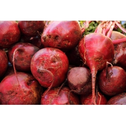 Red beetroot "Crimson" - COATED SEEDS