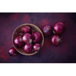 Κρεμμύδι «Scarlet» - μέση όψιμη, εξαιρετικά παραγωγική ποικιλία -    Allium cepa - Scarlet - σπόροι