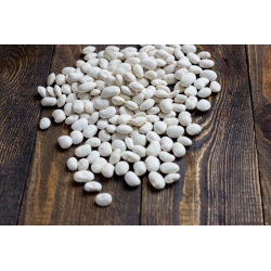 Trpasličí fazuľa „Eureka“ - pre suché semená -  Phaseolus coccineus - Eureka