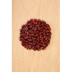 Dwarf bean  'Toska' - for dry seeds