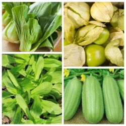 Ovanliga grönsaker - frön av 4 vegetabiliska växter "arter - 