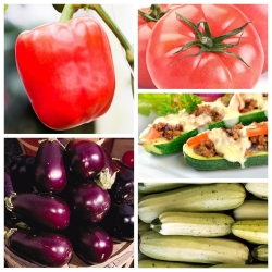 Grønnsaker for fylling - frø av 5 vegetabilske plantearter - 