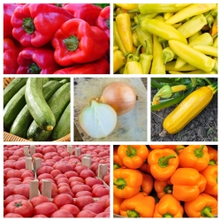 Letcho sayur-sayuran - set bibit 7 spesies tanaman sayur-sayuran ' -  - benih