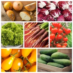सलाद सब्जियां - 7 पौधों की प्रजातियों के बीज का सेट - 