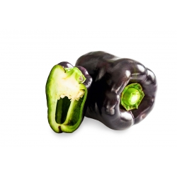 Sweet pepper 'Zulu' - black, block-shaped variety for cultivation on the field