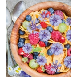 פרחים אכילים - כחול cornflower; כפתור הרווקים - זרעים