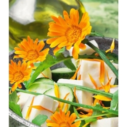 Spiselige blomster - Potgull - oransje; ruddles, vanlig marigold, Scotch marigold - frø