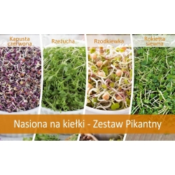 Sprouting seeds - Savoury mix