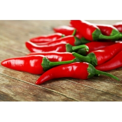 Hot pepper 'Cayenna' -  Capsicum annuum - Cayenna - semena