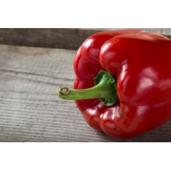 Sweet pepper 'Caryca - Tzarin' - red, early variety for cultivation in tunnels and on the field