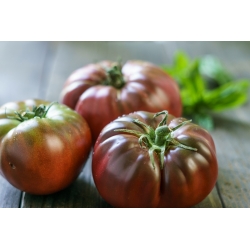 Tomate 'Black Prince' - Hochwachsend, Freilandtomate, saftige, süße und aromatische Sorte, die zum direkten Verzehr empfohlen wird